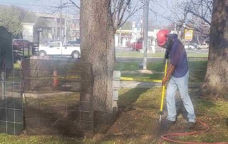 what is a certified arborist