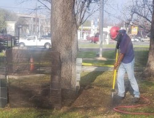 Five Benefits of Air Spading for Tree Health